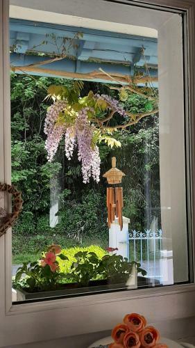 Bed & Breakfast La Rive D'o
