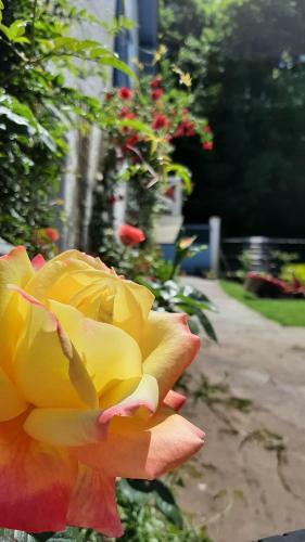 Bed & Breakfast La Rive D'o