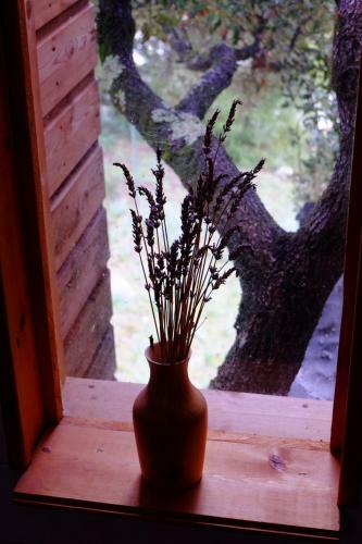 Bed & Breakfast A Casaluna
