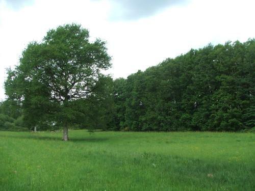 Les Ch�nes Verts
