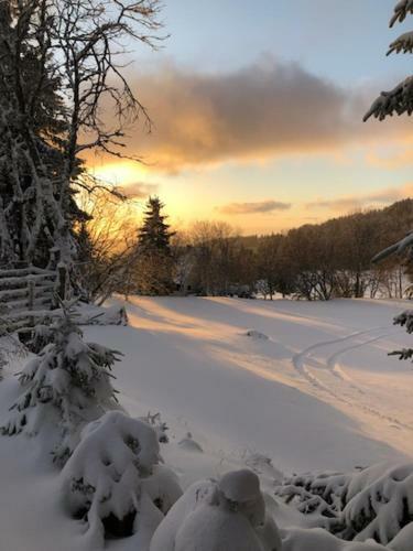 Le Chalet Du Loup