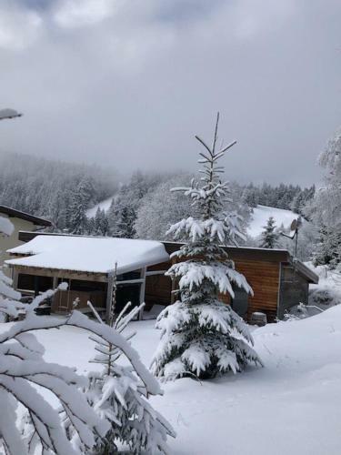 Le Chalet Du Loup