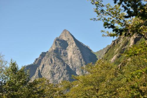 L'or De Fabiol