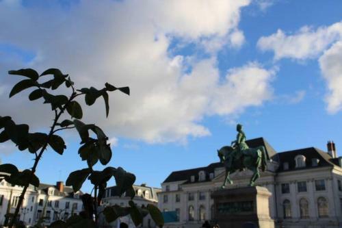Apartamento Le Scandinave, Proche Bord de Loire