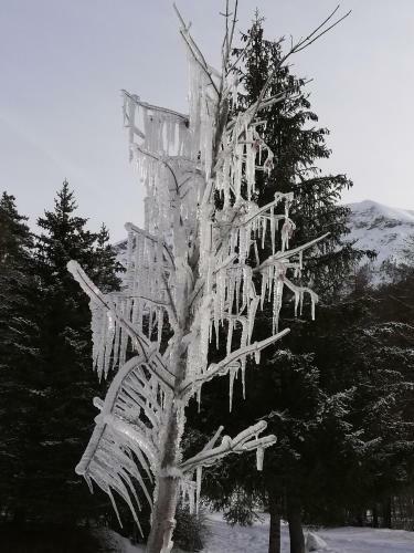 Apartamento Orci�res Merlette Queyrelet 1, Front de Neige