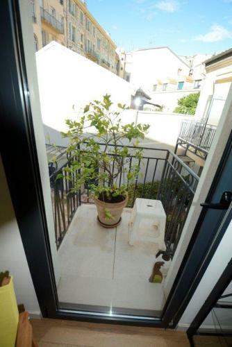 Apartamento Patio Wilson
