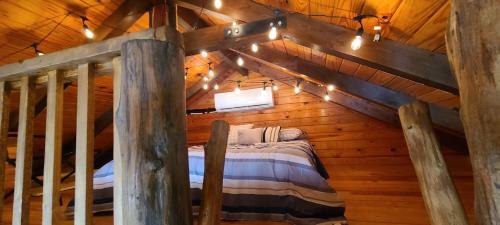 The Big Cabin