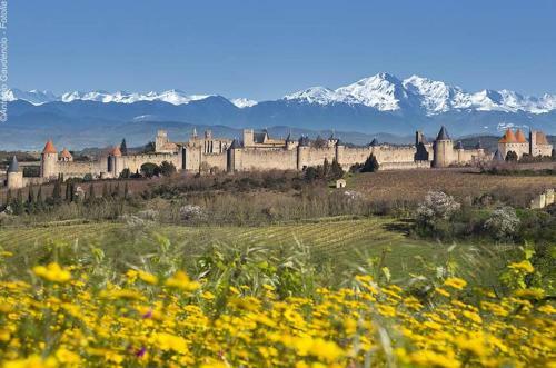 Bed & Breakfast G�te de Charme Avec Piscine Chauff�e