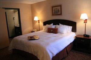 Hotel Hampton Inn Manhattan