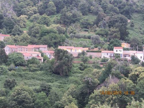 Peri Village