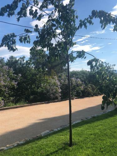Bed & Breakfast Maison D'h�tes Campagne La N�gre
