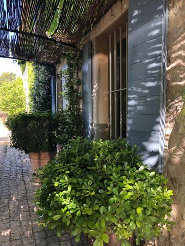 Bed & Breakfast Maison D'h�tes Campagne La N�gre
