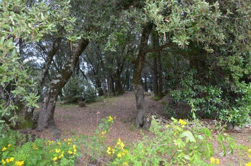 Gites San Austinu