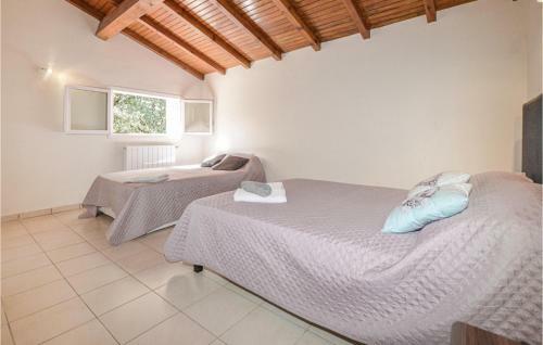 Awesome Home In Petreto Bicchisano With Wifi
