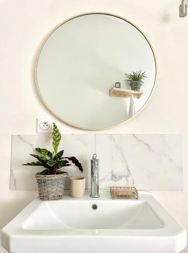 Apartamento Jungle Nomads