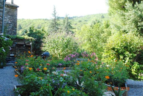 Alberguiere - Piscine Chauff�e - Plancha - Barbecue