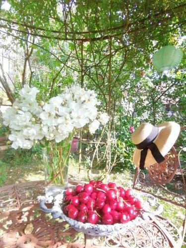 Bed & Breakfast Chambre D'h�tes Les Magnolias