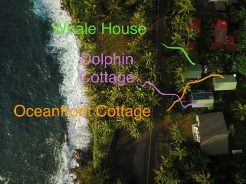 Oceanfront Cottage At Kehena Beach