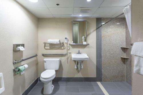 Hotel Comfort Inn Decatur