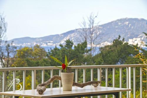 Apartamento Residence de Porticcio, Youyoube