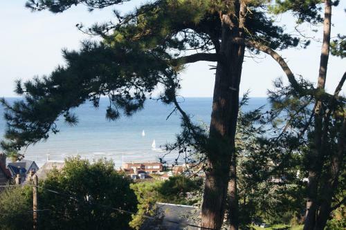 Le Carr�