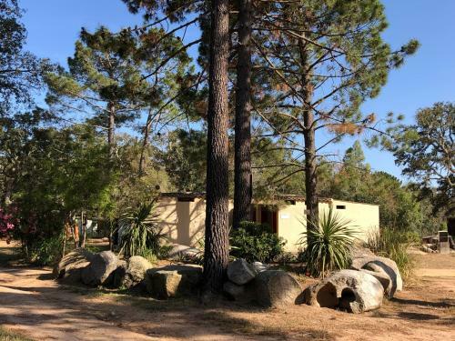 Petra Legna - R�sidence Les Jardins Du Golfe