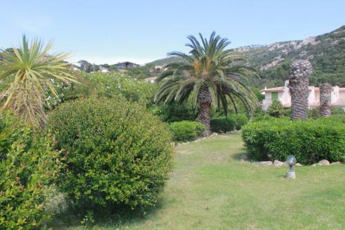 Apartamento T3 Rez de Jardin � Porto Vecchio