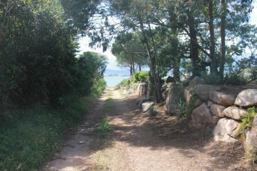 Apartamento T3 Rez de Jardin � Porto Vecchio