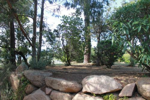 Apartamento T3 Rez de Jardin � Porto Vecchio