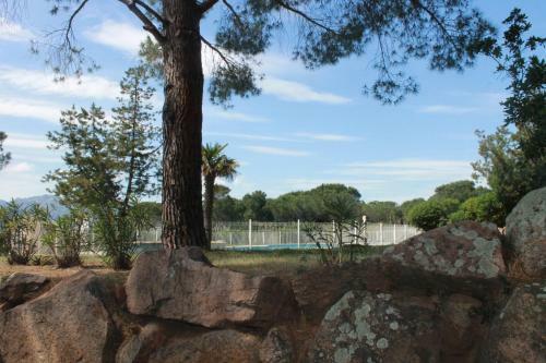 Apartamento T3 Rez de Jardin � Porto Vecchio