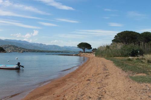 Apartamento T3 Rez de Jardin � Porto Vecchio