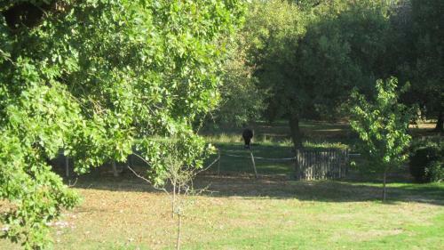 Bed & Breakfast Le Clos de La Garenne Maison D'h�tes