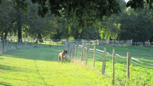 Bed & Breakfast Le Clos de La Garenne Maison D'h�tes