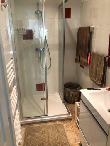Grand Appartement En Duplex Avec Jardin