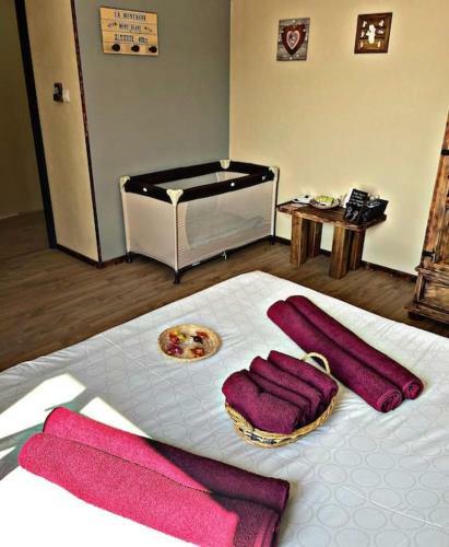 Hotel Auberge Du Raddon