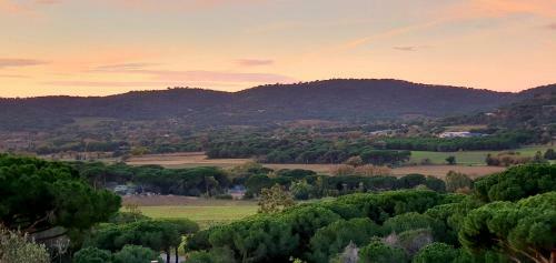 Villa Contemporaine de Standing Face Aux Vignes