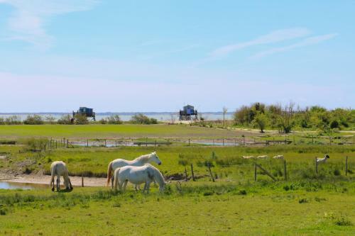 Apartamento Rochefort Authentique