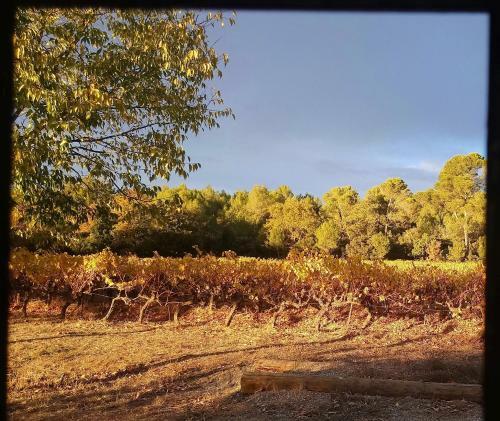 G�te de La Sabli�re Vignoble Aixois Et Piscine