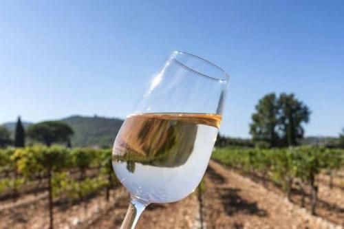 G�te de La Sabli�re Vignoble Aixois Et Piscine