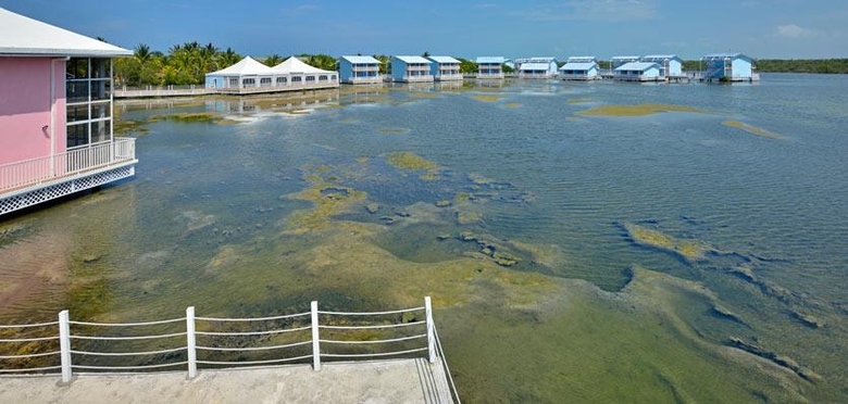 Hotel Melia Cayo Coco