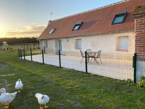 La Maison Des Canards