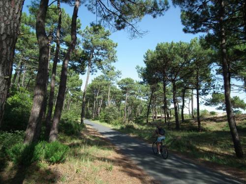 Villa Ronce-les-bains - Maison Individuelle - Proximite Plage Et Centre