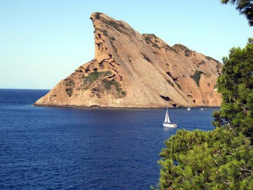 Apartamento Appart. 4 Pers A 6 Kms de Cassis Avec Acces Piscine