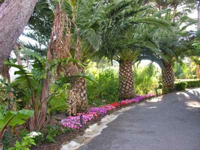Apartamento Appart. 4 Pers A 6 Kms de Cassis Avec Acces Piscine