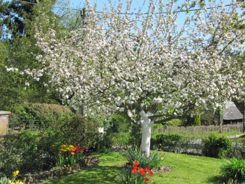 Bed & Breakfast La Roseraie Du Prieure