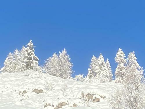 Apartamento Le Refuge