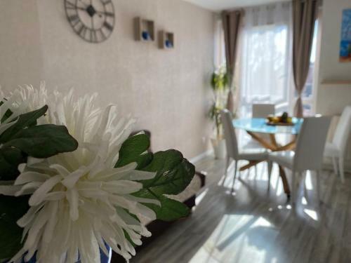 Apartamento Sweet Home *confort *hyper Centre *lumineux