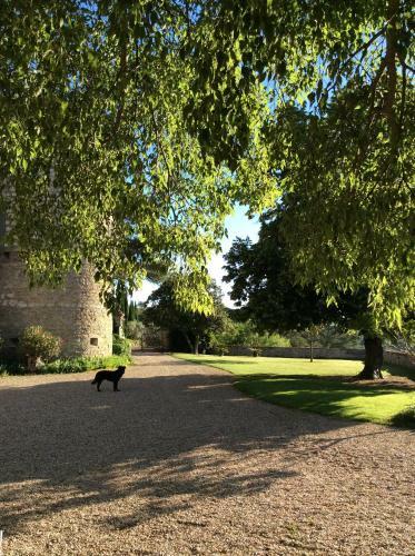 Bed & Breakfast Ch�teau De Rousson
