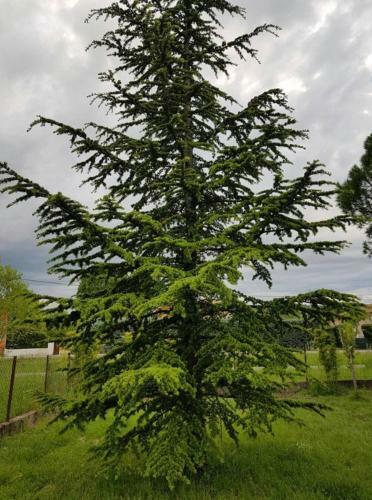 G�te En Sud Ard�che