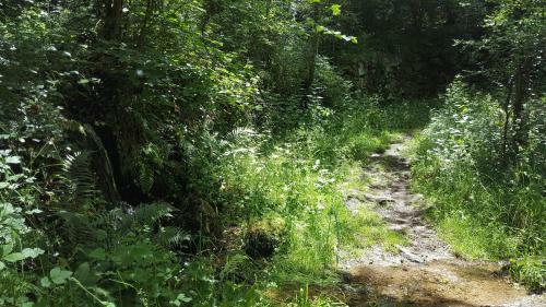 Gite de Montager Saint Andr� de Chalencon